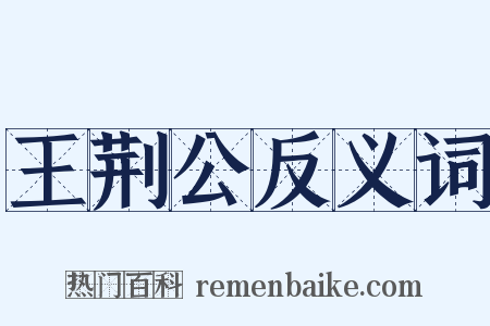 王荆公反义词是什么意思的图片